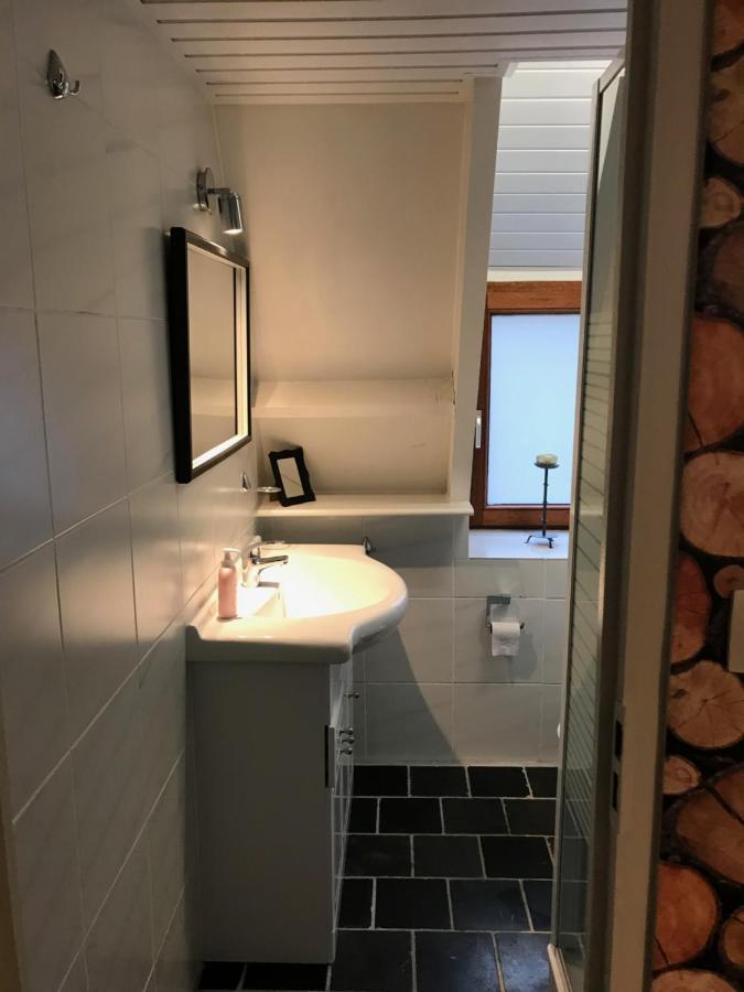 Heavenly Renovated Cabin Near Pittoresque Durbuy - Whistler Villa Exteriör bild