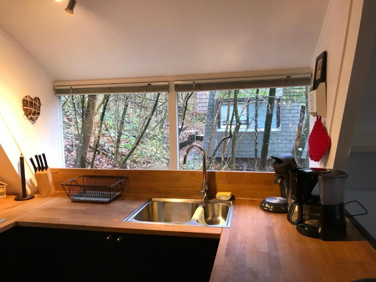 Heavenly Renovated Cabin Near Pittoresque Durbuy - Whistler Villa Exteriör bild