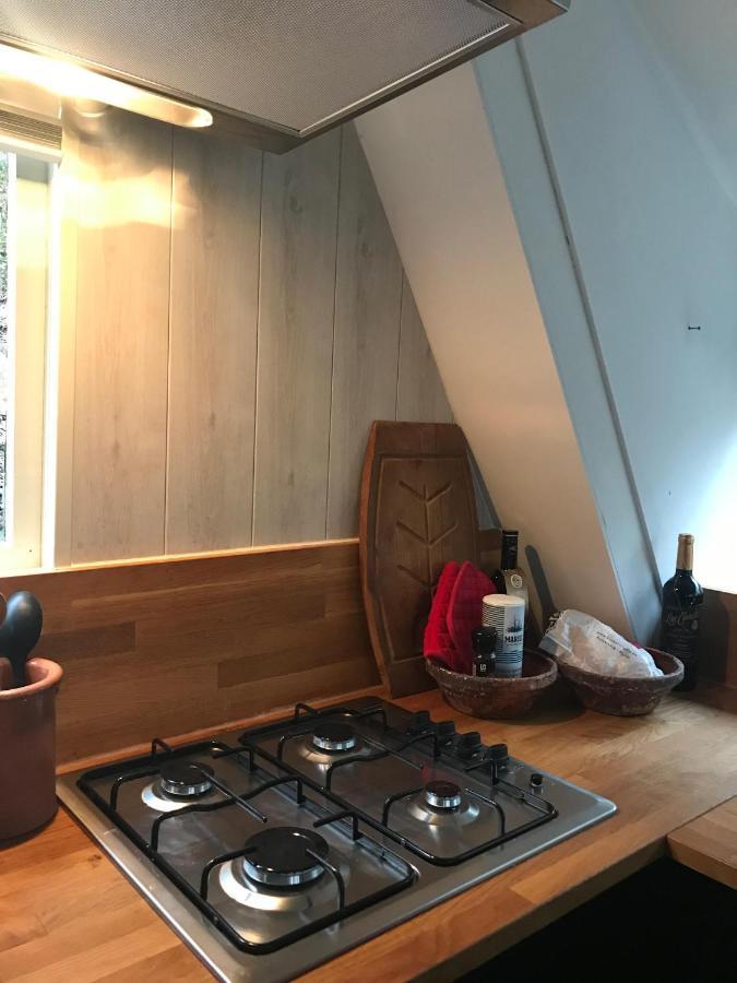 Heavenly Renovated Cabin Near Pittoresque Durbuy - Whistler Villa Exteriör bild