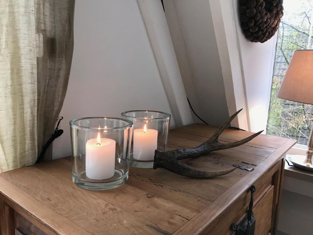 Heavenly Renovated Cabin Near Pittoresque Durbuy - Whistler Villa Exteriör bild