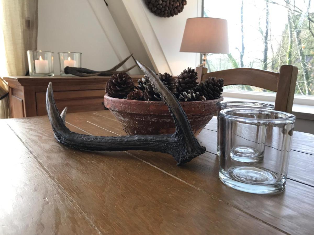 Heavenly Renovated Cabin Near Pittoresque Durbuy - Whistler Villa Exteriör bild
